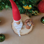 Composition de Noël #12