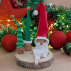 Composition de Noël #14