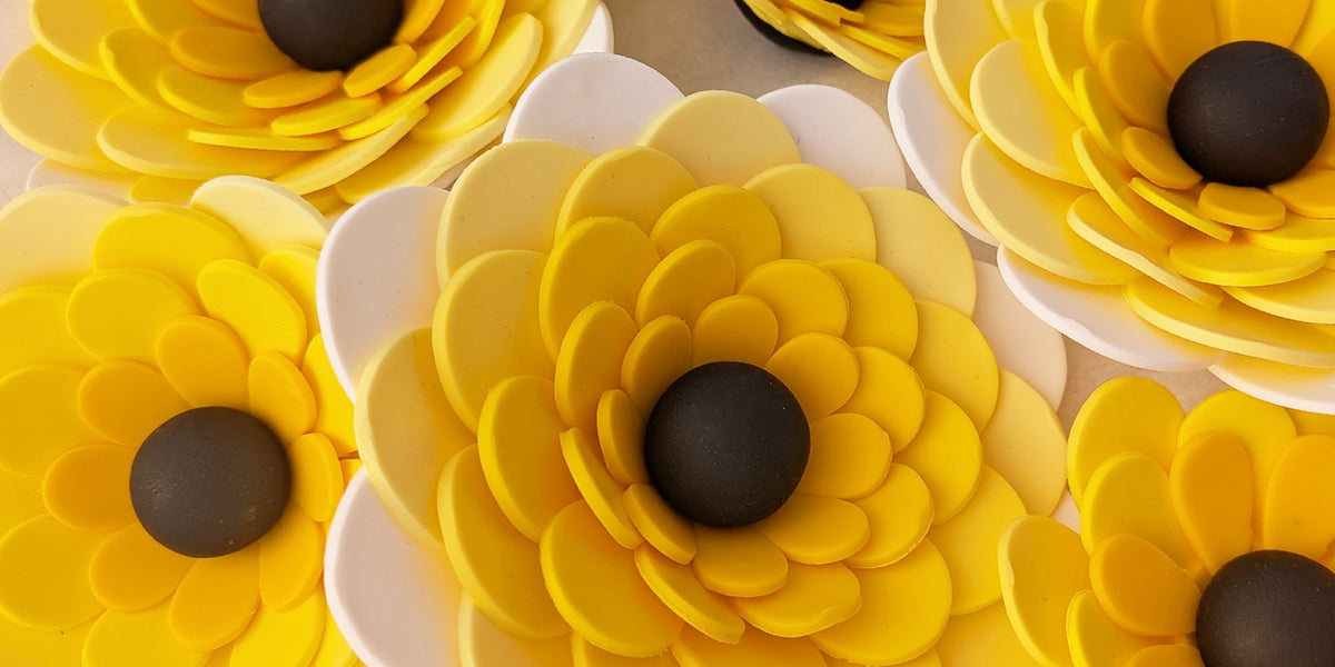 Les Fizooflores, fleurs et créations végétales décoratives faites main